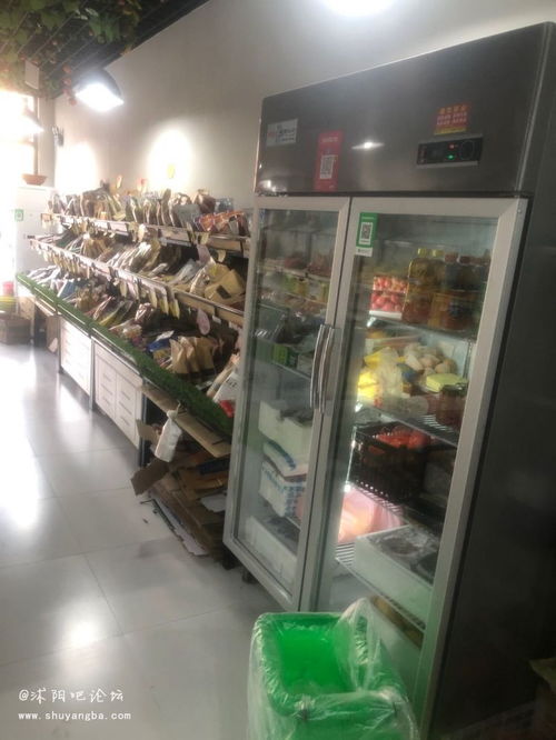 沭阳论坛图书城商铺转租与租售指南 把握商机，共创文化繁荣