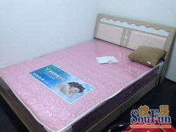 香克林小镇白领公寓次卧出租 地铁图书馆站旁的精装温馨之家