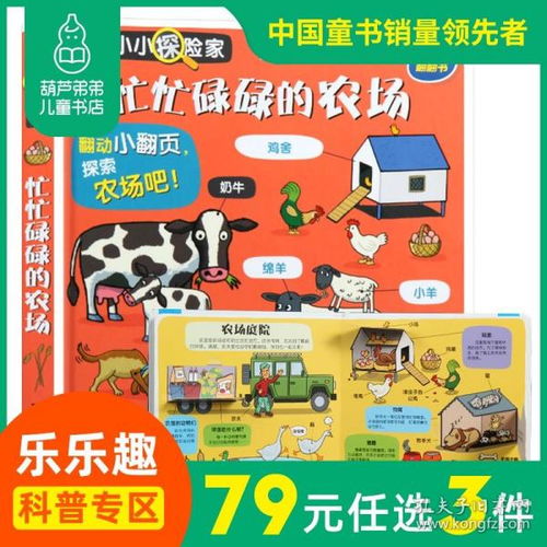 多元阅读选择 晚风图书旗舰店、孔夫子旧书网与图书出租服务对比分析